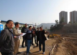 广元莲花村二次供水项目