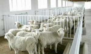 现代养殖场怎样选择二次供水设备？